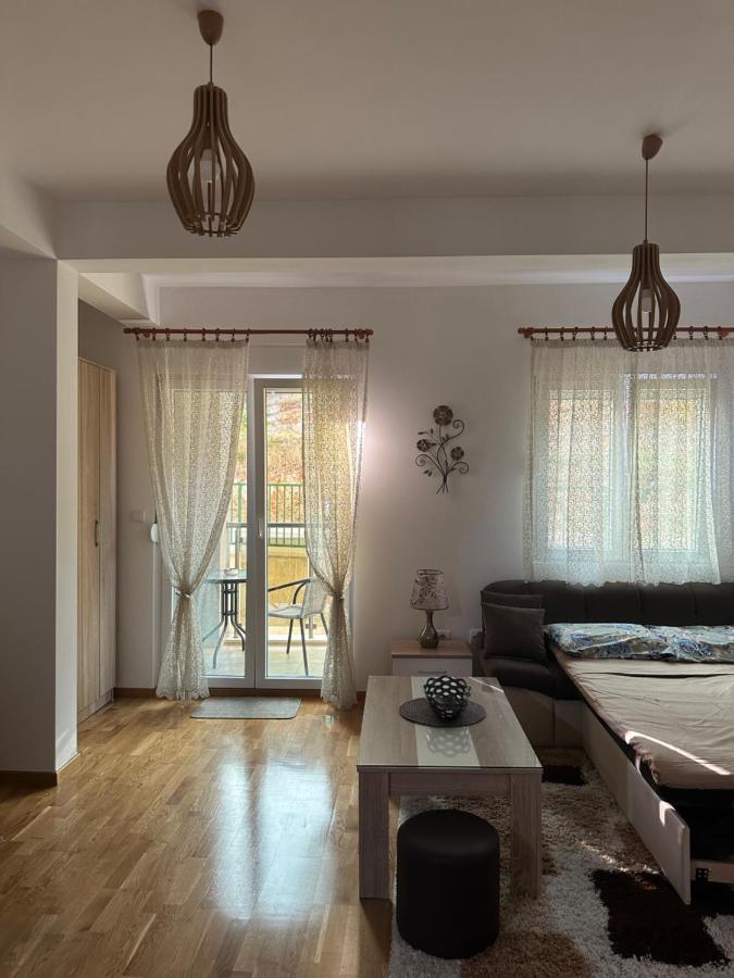 Kropa Apartman Podgorica Bagian luar foto